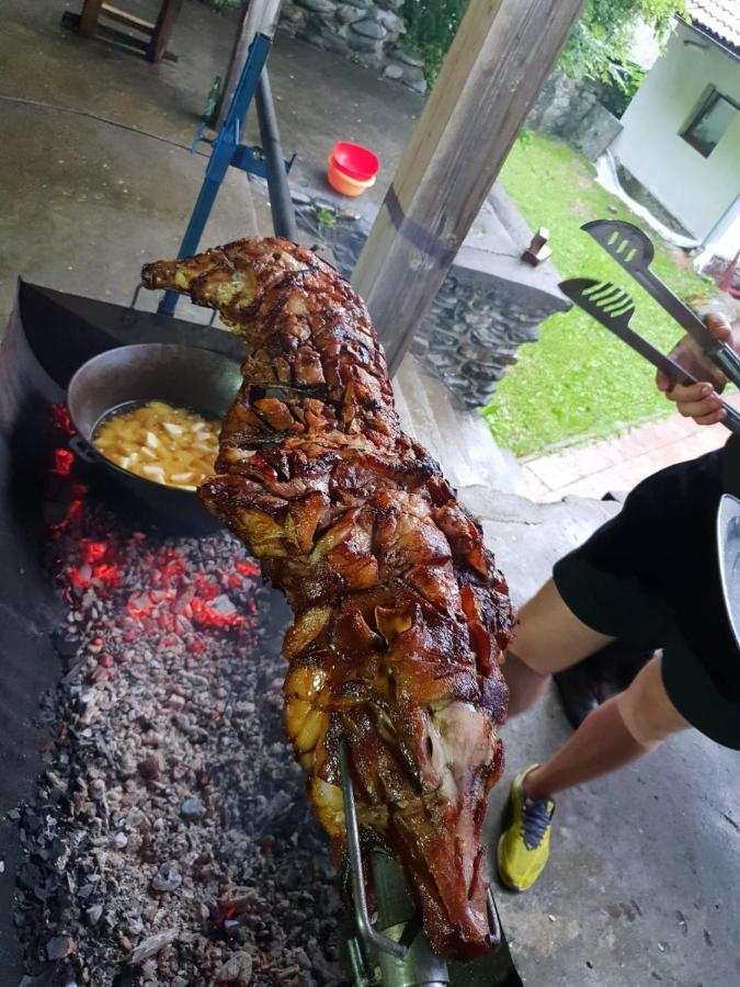 Vila Luca'S Cartisoara Luaran gambar