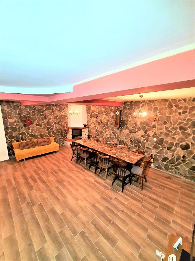 Vila Luca'S Cartisoara Luaran gambar