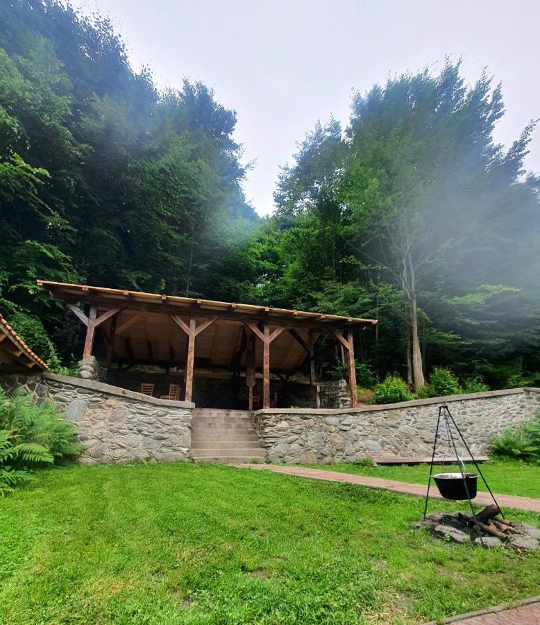 Vila Luca'S Cartisoara Luaran gambar